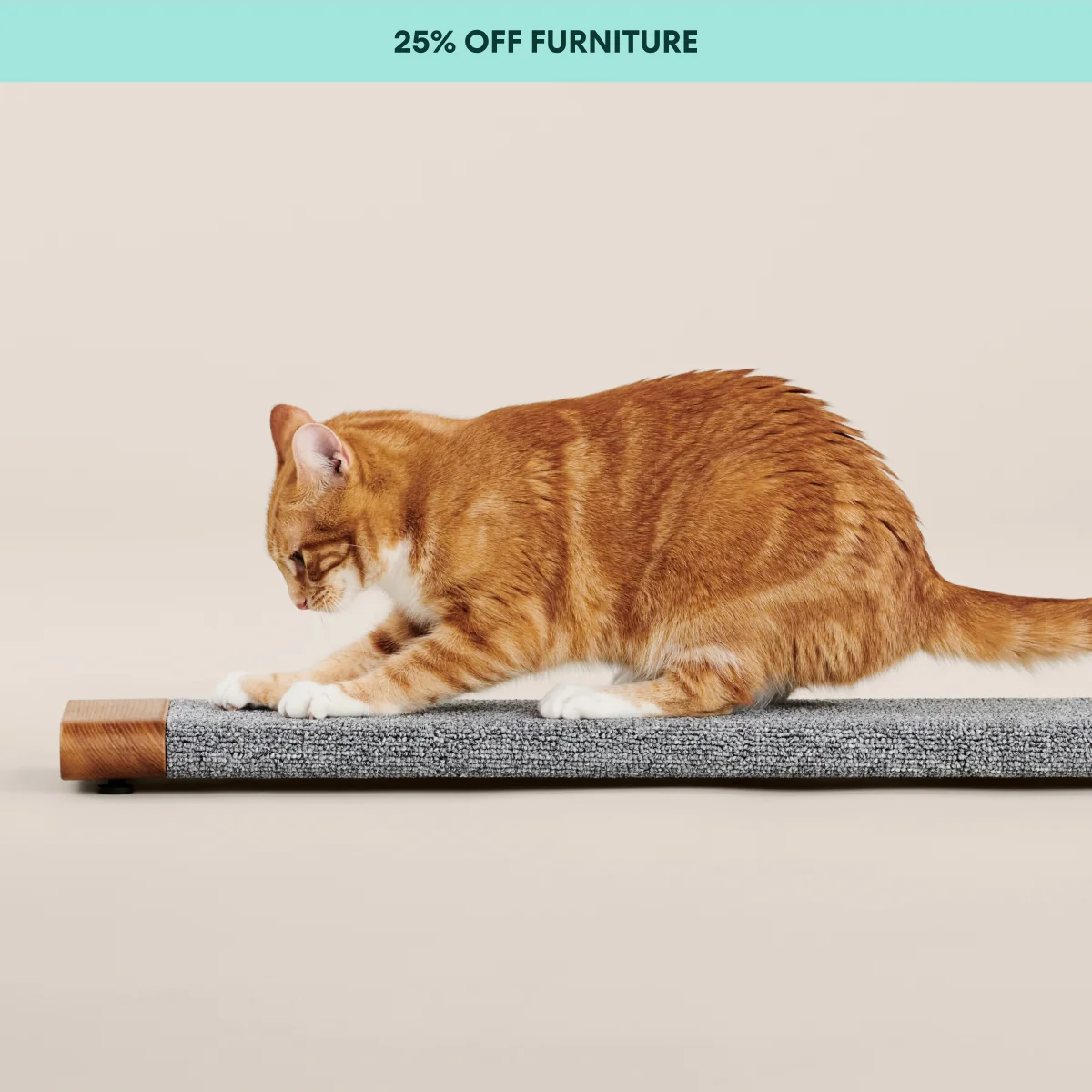 Tab Scratching Board